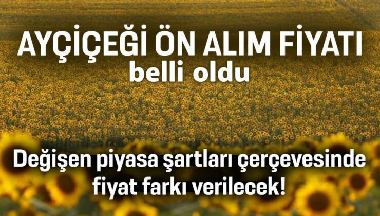 Ayçiçeği Ön Alım Fiyatı Belli Oldu