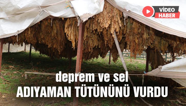 Deprem Ve Sel Adıyaman Tütününü De Vurdu