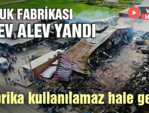 Tavuk Fabrikası Alev Alev Yandı