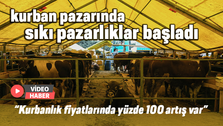 Kurban Pazarında Sıkı Pazarlıklar Başladı