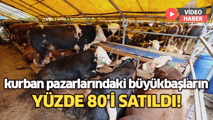 Kurban Pazarlarındaki Büyükbaşların Yüzde 80’I Satıldı