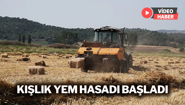 Kışlık Yem Hasadı Başladı