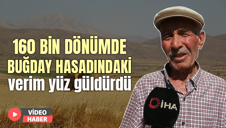 160 Bin Dönümde Buğday Hasadındaki Verim Yüz Güldürdü