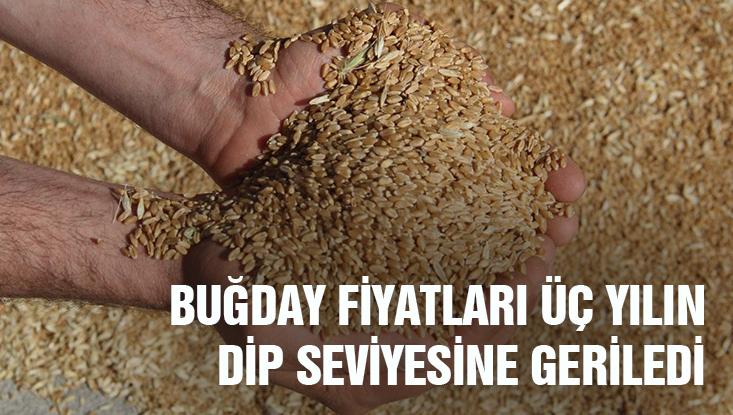 Buğday Fiyatları Üç Yılın Dip Seviyesine Geriledi