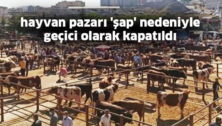 Nevşehir Hayvan Pazarı ‘Şap’ Nedeniyle Geçici Olarak Kapatıldı