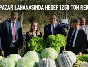 Eskipazar Lahanasında Hedef 1250 Ton Rekolte