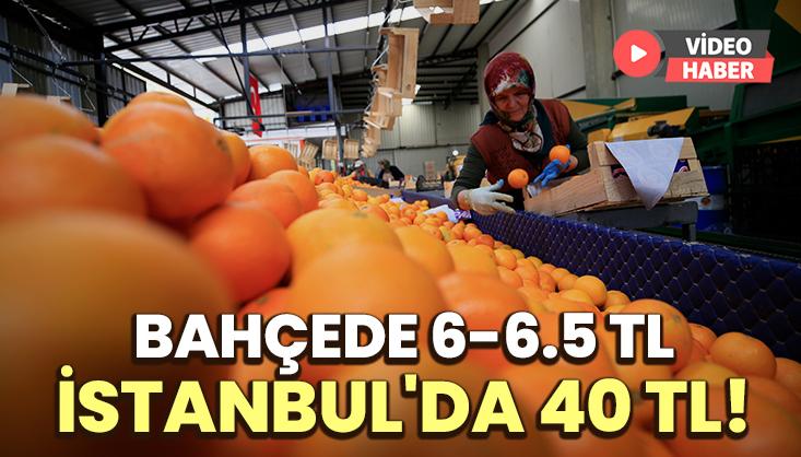 Bahçede 6-6.5 Tl İstanbul’Da 40 Tl!