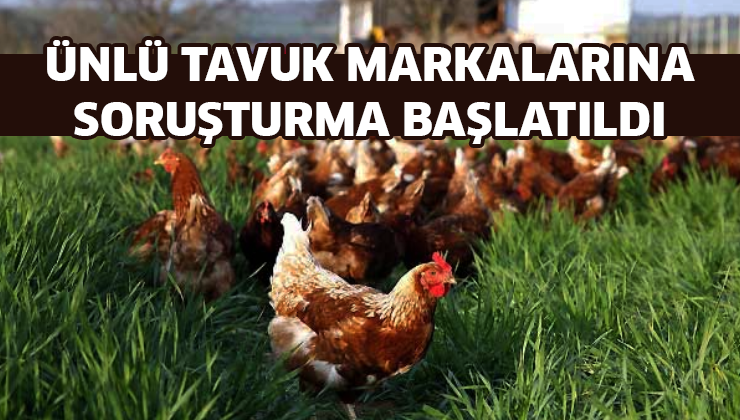 Ünlü Tavuk Markalarına Soruşturma Başlatıldı