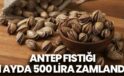 Antep fıstığı 1 ayda 500 lira zamlandı