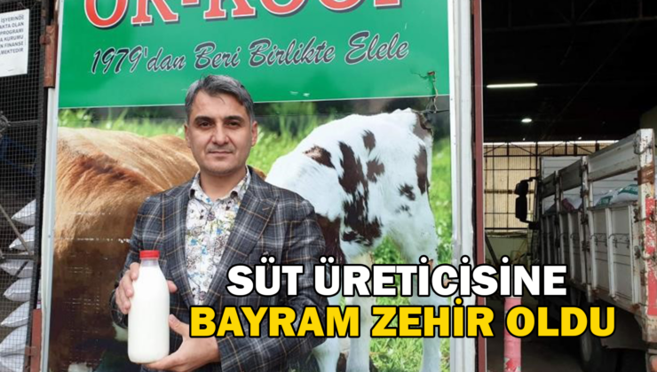 Süt Üreticisine Bayram Zehir Oldu; Bayramda Süt Fiyatları Yüzde 50 Düşürüldü