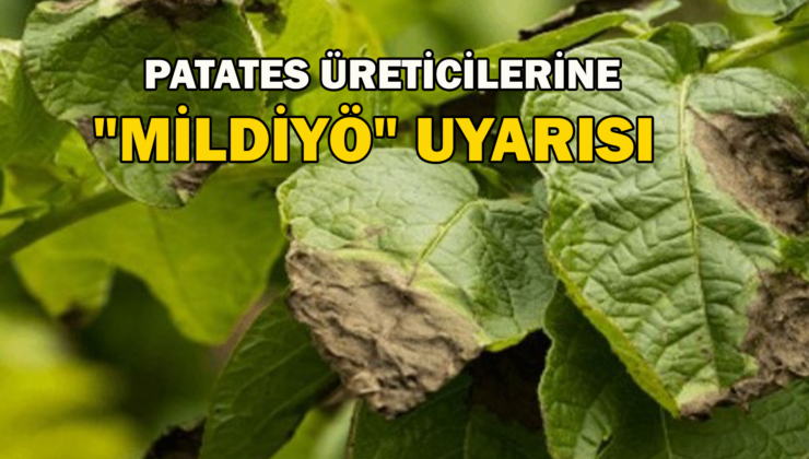 Patates Üreticilerine “Mildiyö” Uyarısı