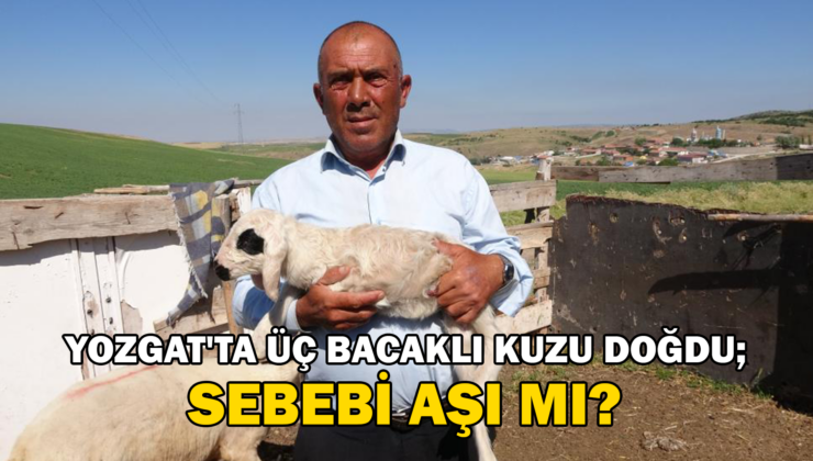 Üç Bacaklı Kuzu Hayrete Düşürdü