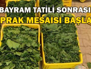 Bayram Tatili Sonrası Yaprak Mesaisi Başladı