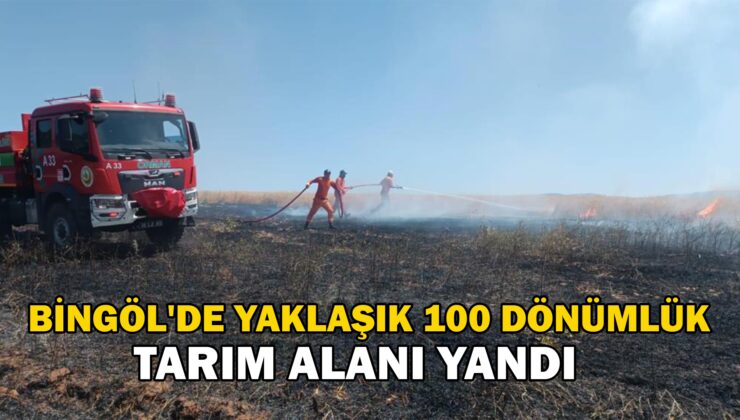 Bingöl’De Yaklaşık 100 Dönümlük Tarım Alanı Yandı