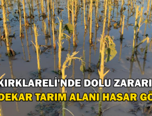 Dolunun Hasar Tespiti Tamamlandı; 150 Dekar Tarım Alanı Zarar Gördü