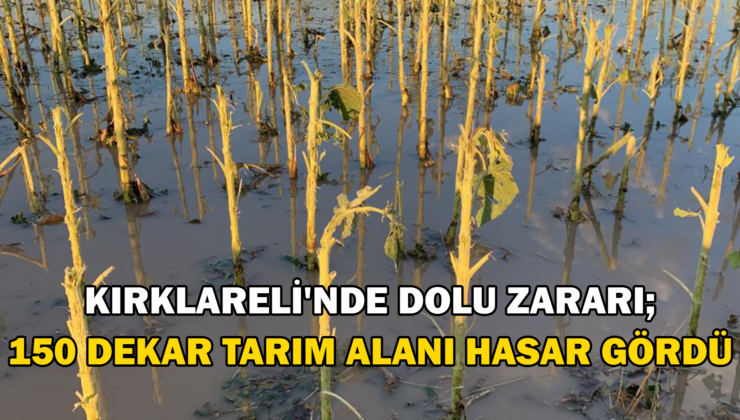 Dolunun Hasar Tespiti Tamamlandı; 150 Dekar Tarım Alanı Zarar Gördü