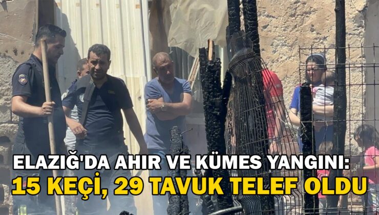 Elazığ’Da Ahır Ve Kümes Yangını: 15 Keçi, 29 Tavuk Telef Oldu