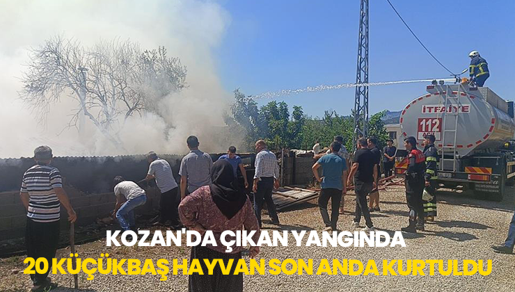 Kozan’Da Çıkan Yangında 20 Küçükbaş Hayvan Son Anda Kurtuldu