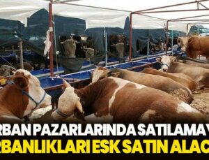 Kurban Pazarlarında Satılamayan Kurbanlıklar Esk Tarafından Satın Alınacak