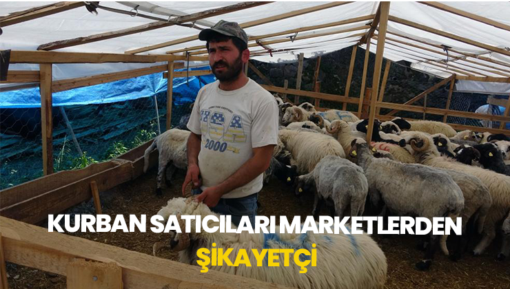 Kurban Satıcıları, Yurtdışı Bağışlardan Ve Marketlerden Şikayetçi