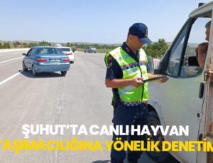 Şuhut’ta Canlı Hayvan Taşımacılığına Yönelik Denetim