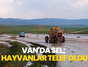 Van Saray’Da Sel; 2 Büyükbaş, 100’E Yakın Küçükbaş Hayvan Telef Oldu