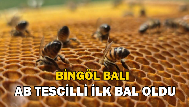 Bingöl Balı, Avrupa Birliği’nin Tescillediği Ilk Bal Oldu