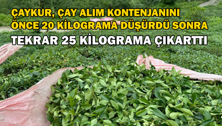 Çaykur 20 Kilograma Düşürdüğü Günlük Çay Alım Kontenjanını Tekrar 25 Kilograma Çıkarttı