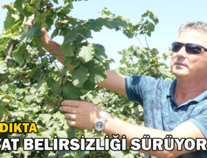 Fındıkta Fiyat Belirsizliği Sürüyor