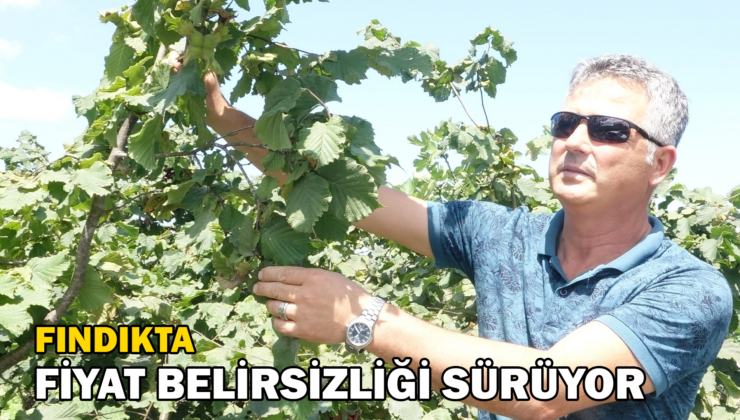 Fındıkta Fiyat Belirsizliği Sürüyor