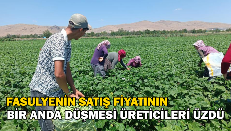 Fasulyenin Satış Fiyatının Bir Anda Düşmesi Üreticileri Üzdü