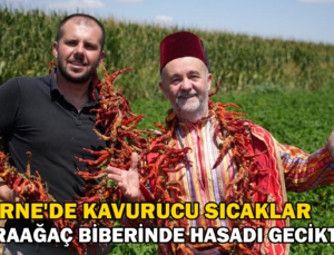 Edirne’De Kavurucu Sıcaklar Karaağaç Biberinde Hasadı Geciktirdi