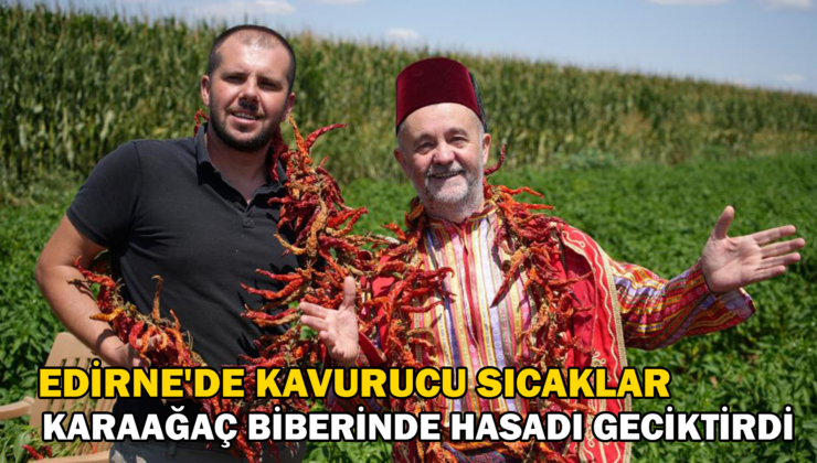 Edirne’De Kavurucu Sıcaklar Karaağaç Biberinde Hasadı Geciktirdi