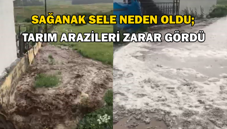 Ardahan’da Sağanak Sele Neden Oldu; Tarım Arazileri Zarar Gördü