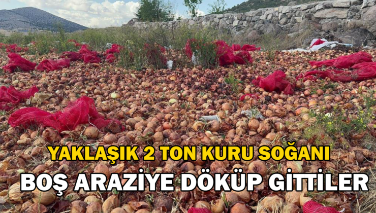 Yaklaşık 2 Ton Kuru Soğanı Boş Araziye Döküp Gittiler