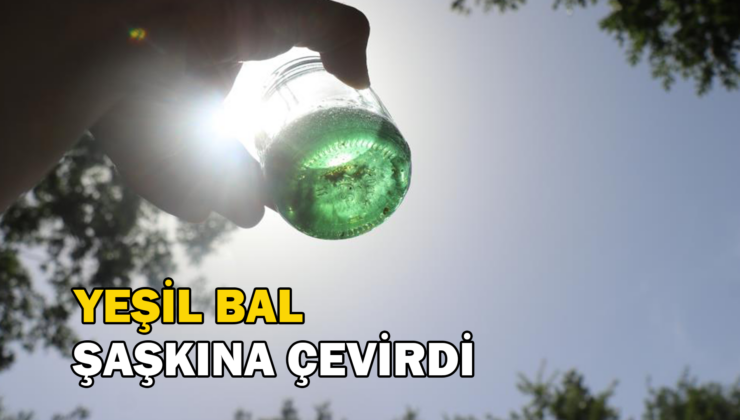 Kovanı Açıp Yemyeşil Balı Görünce Şaşkına Döndü