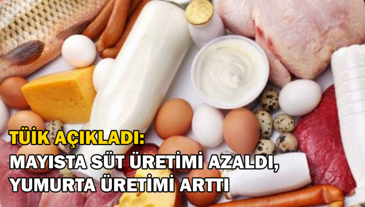 Tüi̇k Açıkladı; 1 Milyon 14 Bin 789 Ton Inek Sütü Toplandı, Tavuk Yumurtası Üretimi Yüzde 7,1 Arttı