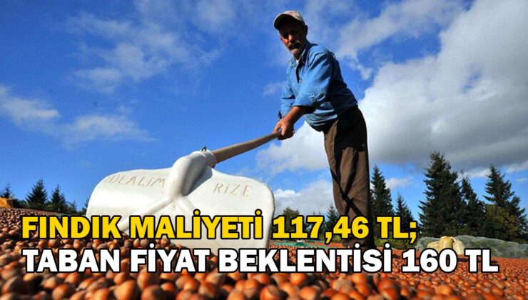 Fındık Maliyeti 117,46 Tl; Taban Fiyat Beklentisi 160 Tl