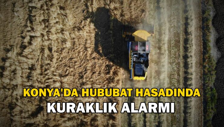 Konya’Da Hububat Hasadında Kuraklık Alarmı