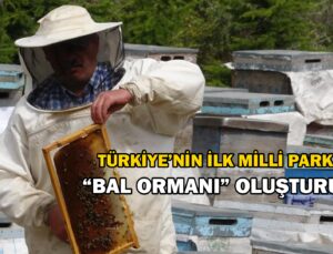 Türkiye’nin Ilk Milli Parkında “Bal Ormanı” Oluşturuldu