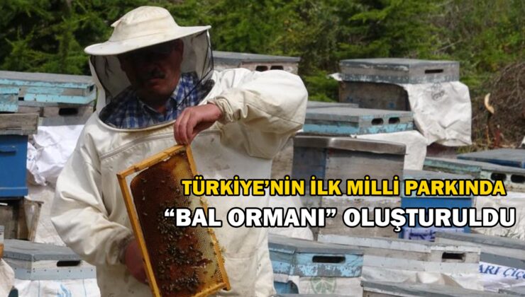 Türkiye’nin Ilk Milli Parkında “Bal Ormanı” Oluşturuldu