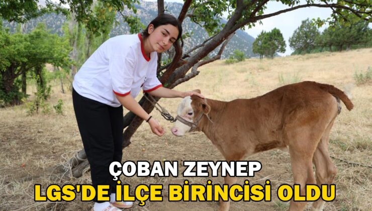 Çoban Zeynep Lgs’De Ilçe Birincisi Oldu