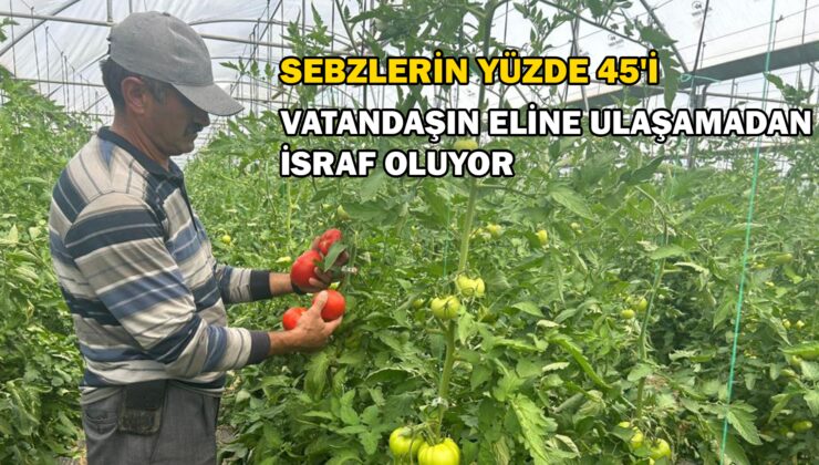 Ürünün Yüzde 45’I Vatandaşın Eline Ulaşamadan Israf Oluyor