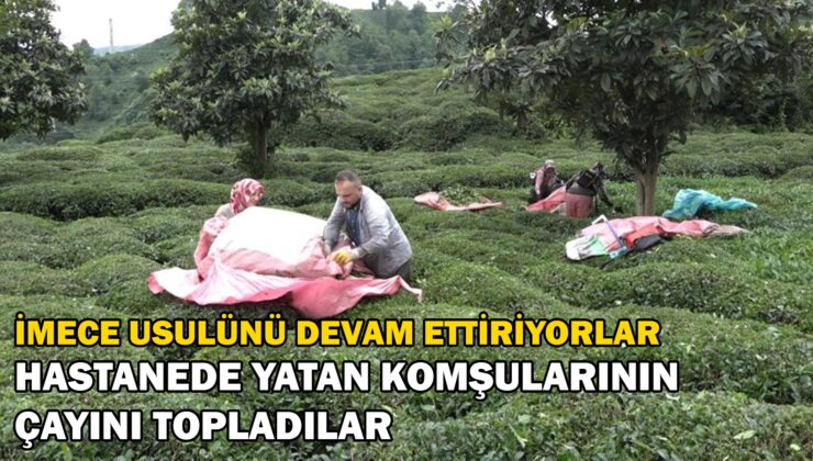 Mahalleli Imeceyle Hastanede Yatan Komşularının Çayını Topladı