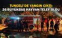 Tunceli’deki yangında 26 büyükbaş hayvan telef oldu