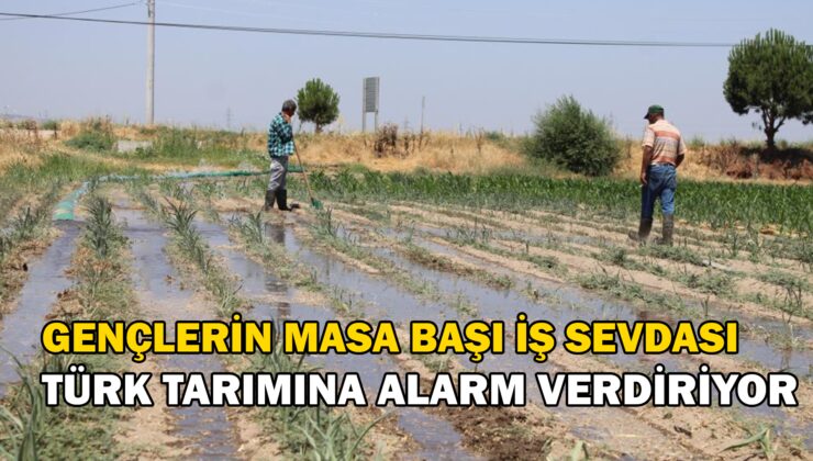 Gençlerin masa başı iş sevdası Türk tarımına alarm verdiriyor