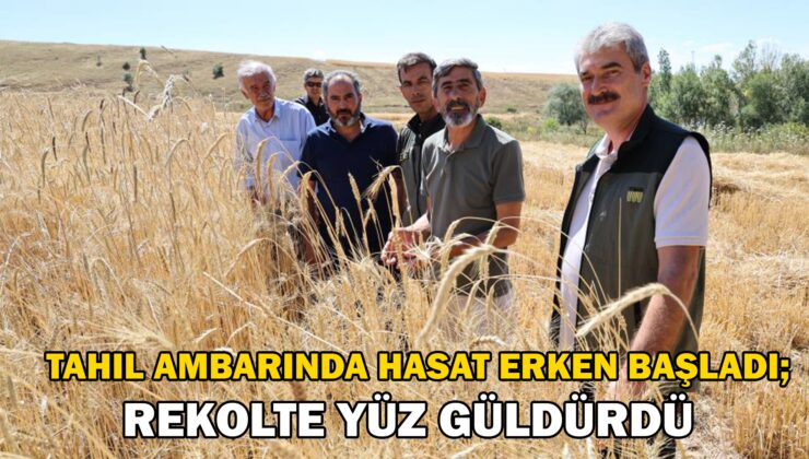 Türkiye’nin tahıl ambarında hasat erken başladı, rekolte yüz güldürdü