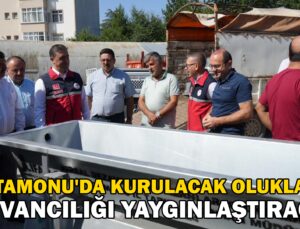 Kastamonu’Da Kurulacak Oluklar Hayvancılığı Yaygınlaştıracak