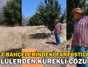 Kiraz Bahçelerindeki Fare Istilasına Karşı Köylülerden Kürekli Çözüm