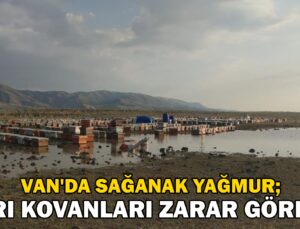 Van’Da Sağanak Yağmur Arı Kovanlarını Vurdu